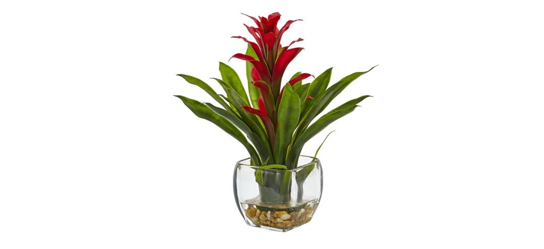 Bromeliad with Glass Vase Arrangement