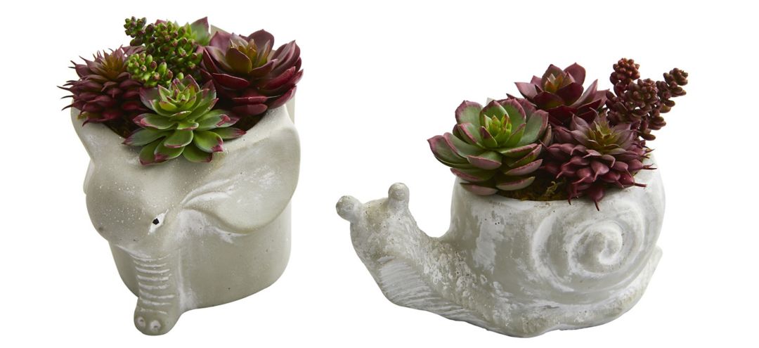 140170630 Succulent Artificial Plant in Elephant and Snail P sku 140170630