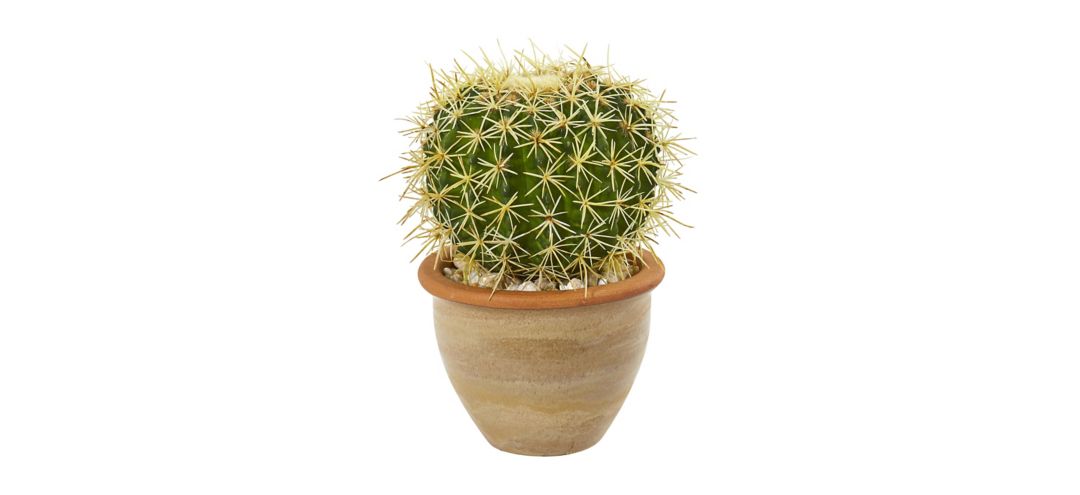 10in. Cactus Artificial Plant in Decorative Ceramic Planter