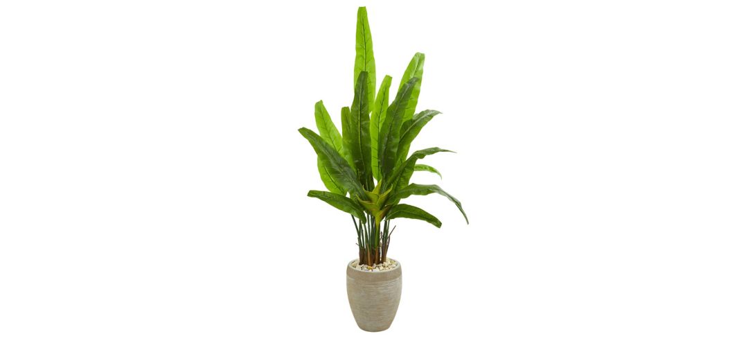 64in. Travelers Palm Artificial Tree in Sand Colored Planter