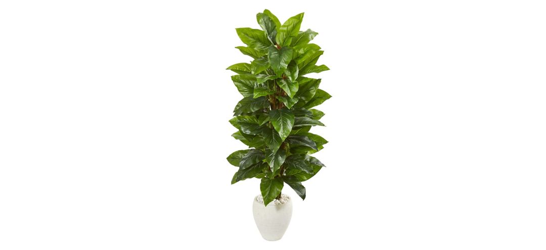 63in. Large Leaf Philodendron Artificial Plant in White Planter