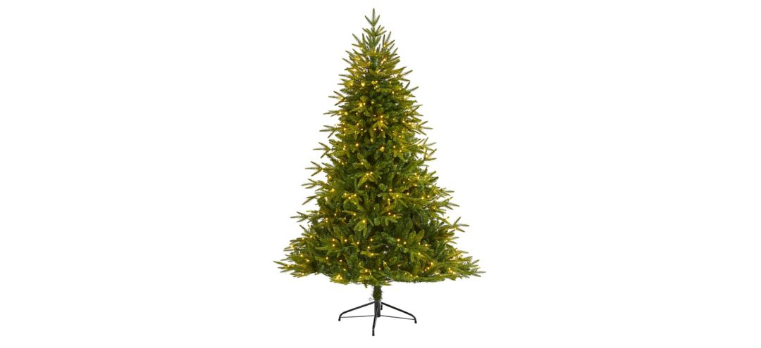 6ft. Pre-Lit Colorado Mountain Fir Natural Look Artificial Christmas T