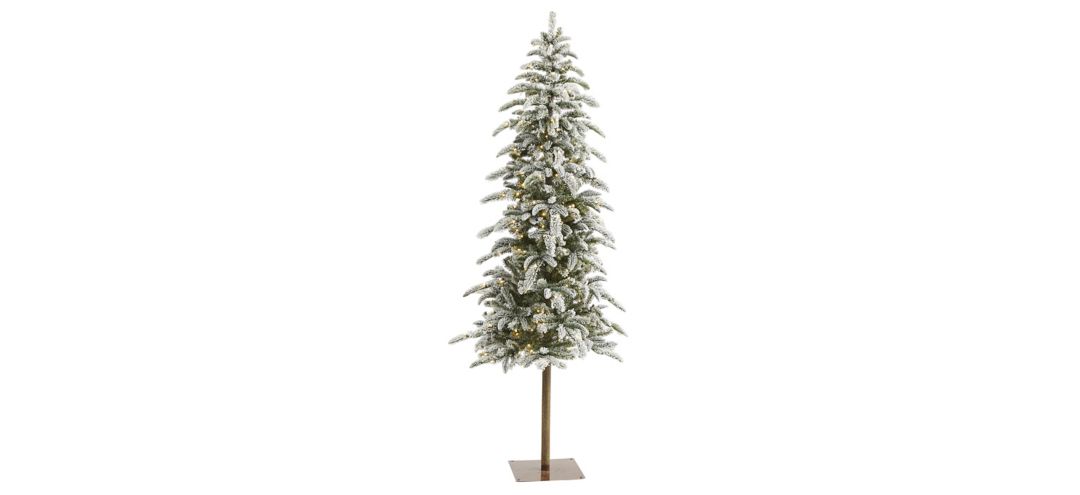 6.5ft. Pre-Lit Flocked Washington Alpine Artificial Christmas Tree