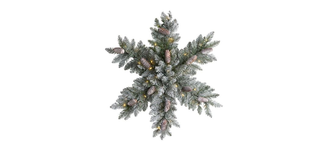 141012910 Adak 30 Pre-Lit Frosted Snowflake Wreath sku 141012910