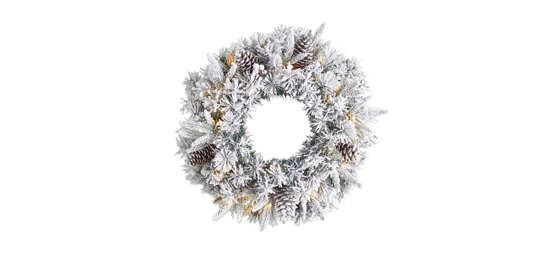 "Adak 20"" Pre-Lit Frosted Flocked Christmas Wreath"