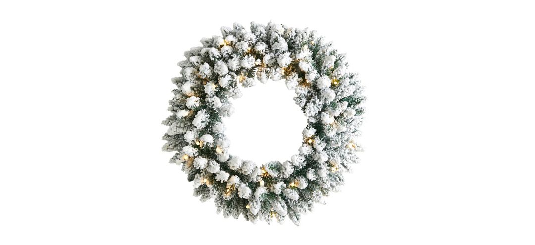 "Adak 24"" Pre-Lit Snowy Flocked Christmas Wreath"
