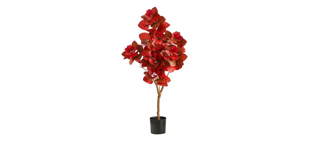 141027810 Fall foliage 3ft Pomegranate Tree sku 141027810