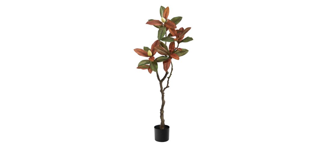 141027880 Fall foliage 4ft Magnolia Tree sku 141027880