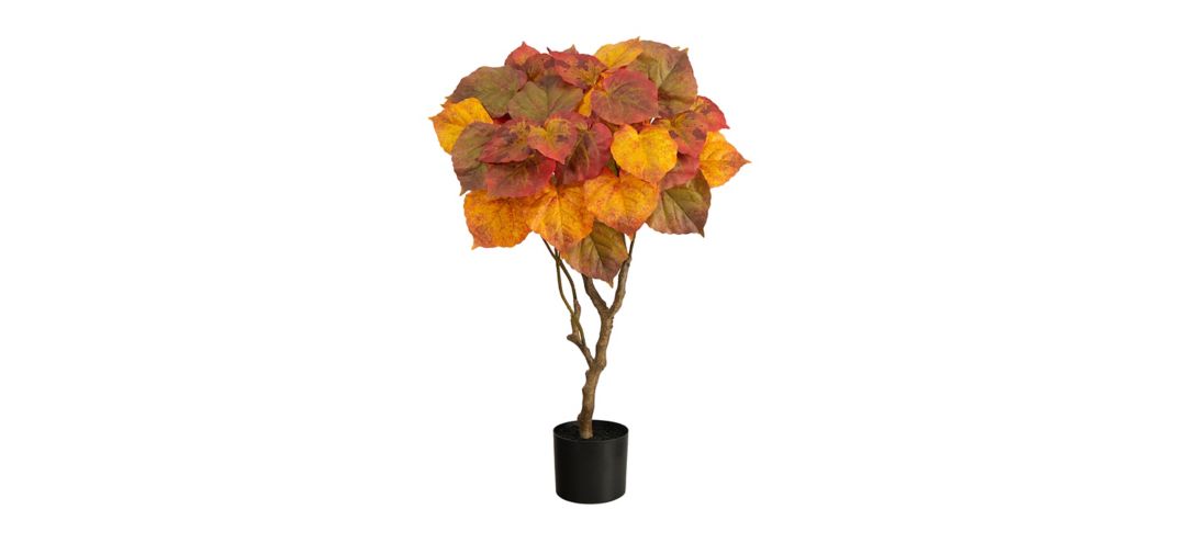 Fall foliage 3ft Umbrella Ficus Tree