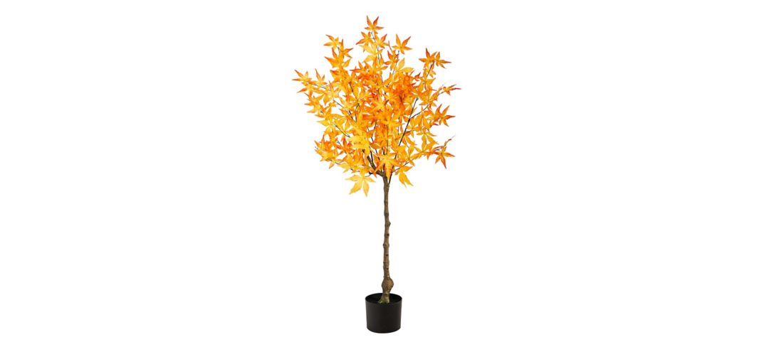 141027950 Fall foliage 4ft Harvest Maple Tree sku 141027950