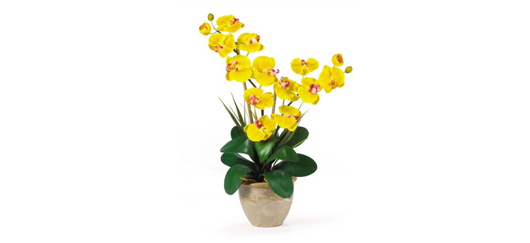 141110260 Double Phalaenopsis Silk Orchid Flower Arrangement sku 141110260