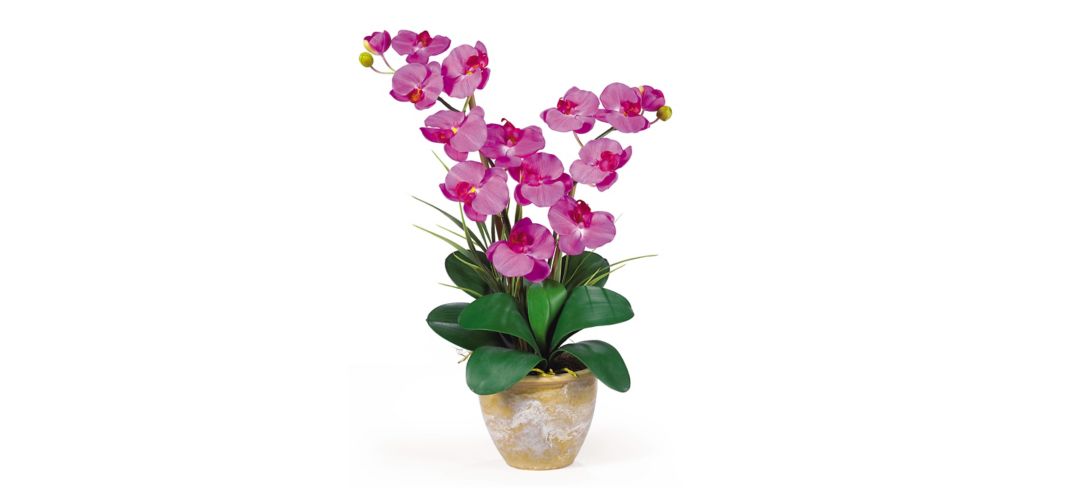 Double Phalaenopsis Silk Orchid Flower Artificial Arrangement