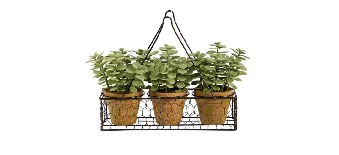 7in. Mini Jade Garden Artificial Plant in Hanging Planter
