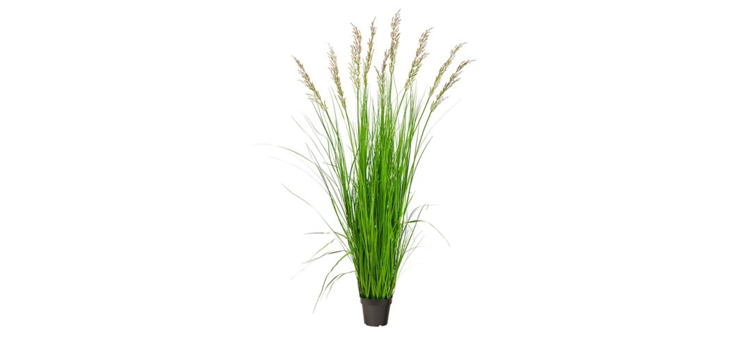 5.5ft. Plume Grass Artificial Plant