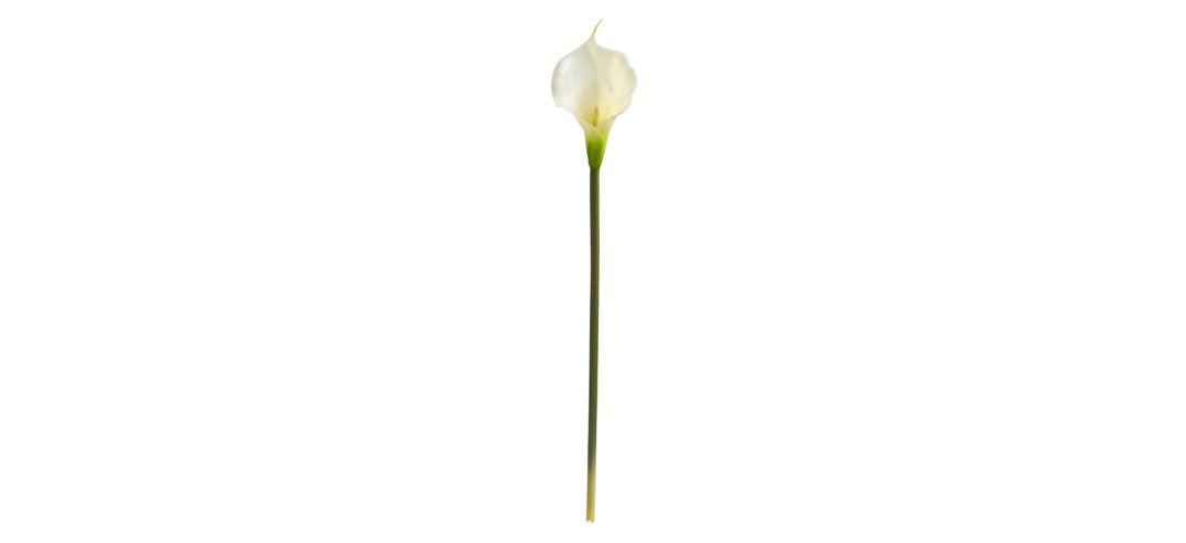 28in. Calla Lily Artificial Flower (Set of 12)