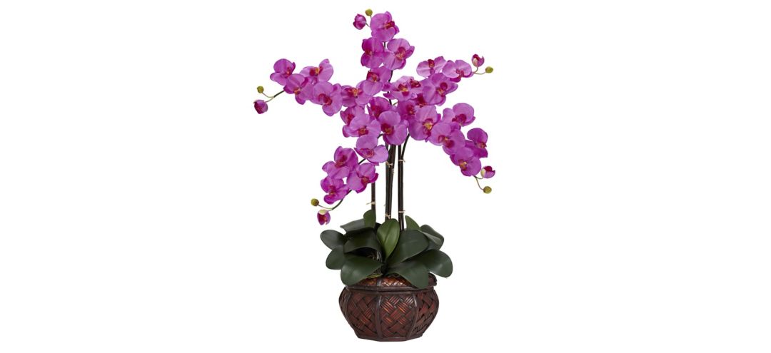 Phalaenopsis with Decorative Vase Silk Flower Arrangement