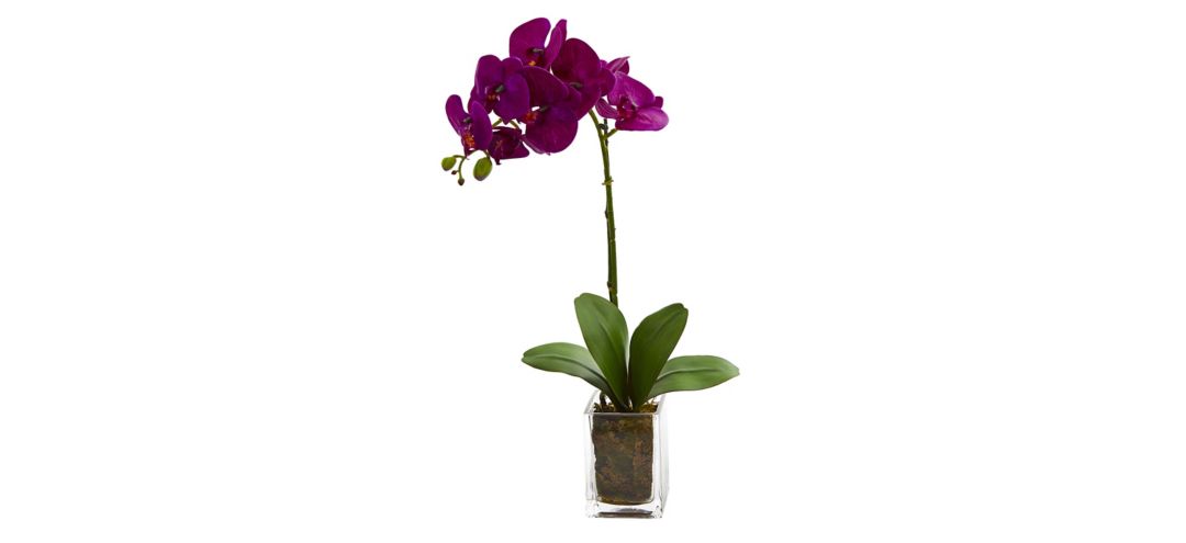 141143090 24in. Orchid Phalaenopsis Artificial Arrangement i sku 141143090