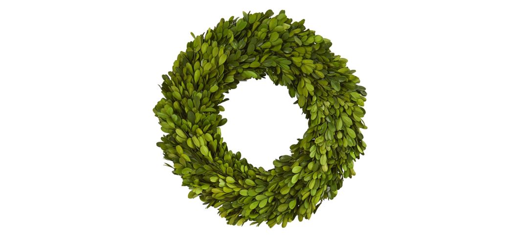 14in. Preserved Boxwood Wreath