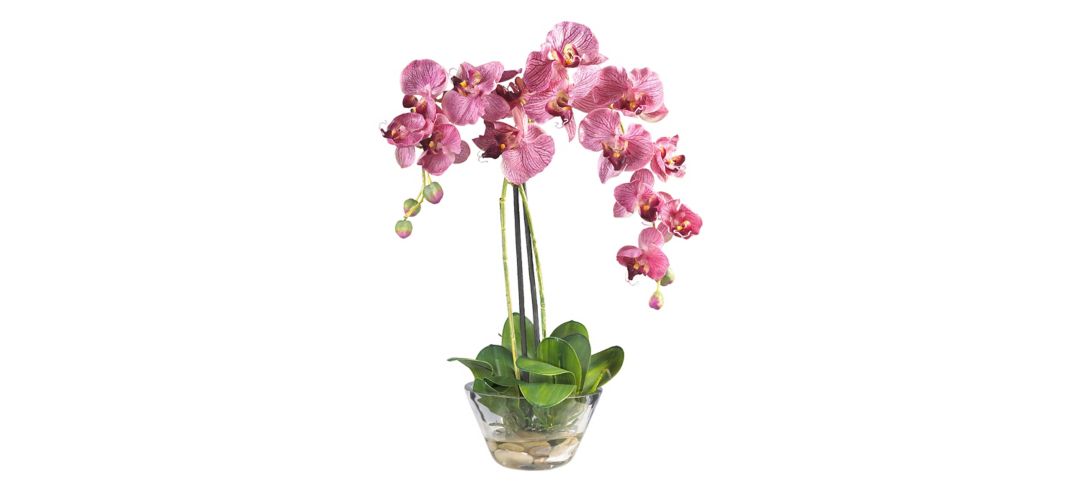 Phalaenopsis with Glass Vase Silk Flower Arrangement