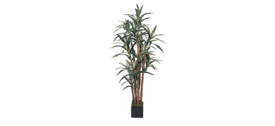 5ft. Yucca Silk Tree