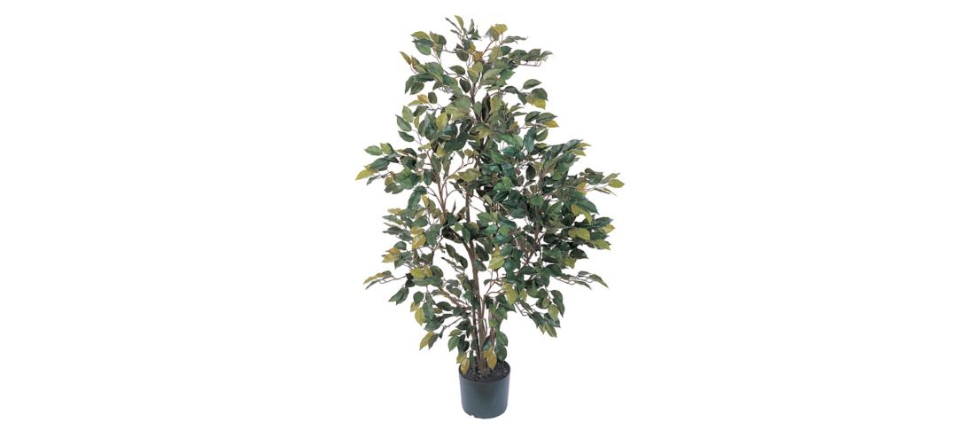 4ft. Ficus Silk Tree