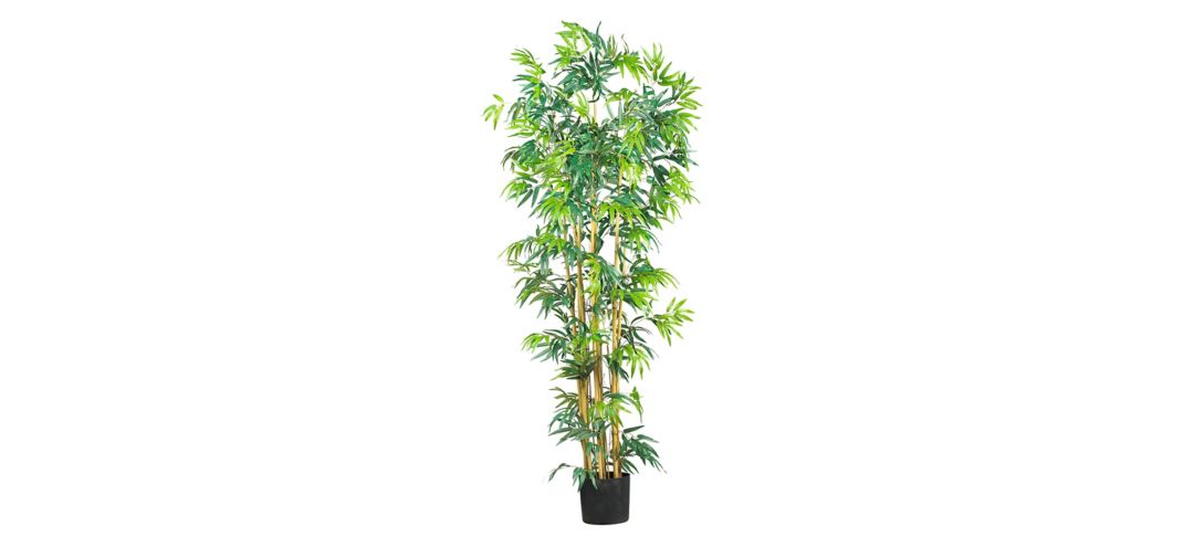 6ft. Bambusa Bamboo Silk Tree