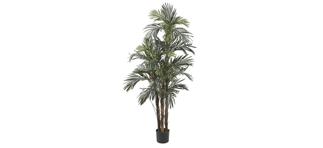 5ft. Robellini Palm Silk Tree