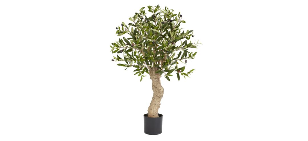 2.5ft. Olive Silk Tree