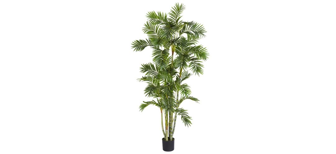 6ft. Areca Palm Silk Tree
