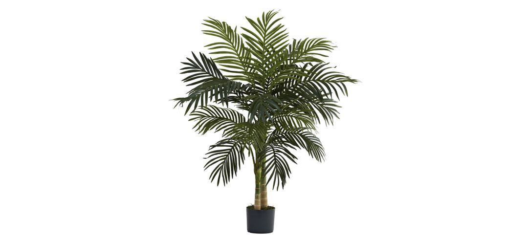 141153570 4ft. Golden Cane Palm Tree sku 141153570