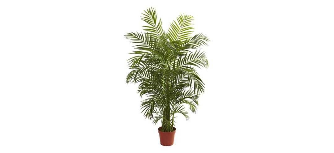 141153890 4.5ft. Areca Palm (Indoor/Outdoor) sku 141153890