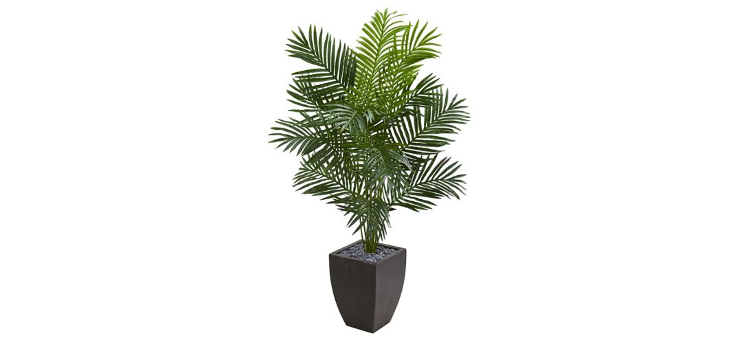 5.5ft. Paradise Artificial Palm Tree in Planter