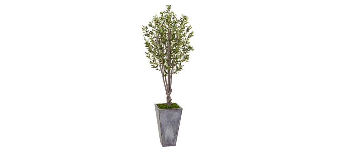 6ft. Olive Artificial Tree in Stone Planter
