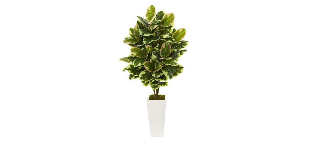 Variegated Rubber Leaf Artificial Plant