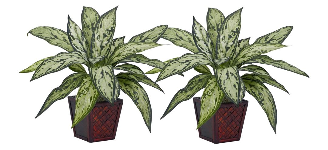 141166940 Silver Queen Silk Artificial Plant (Set of 2) sku 141166940