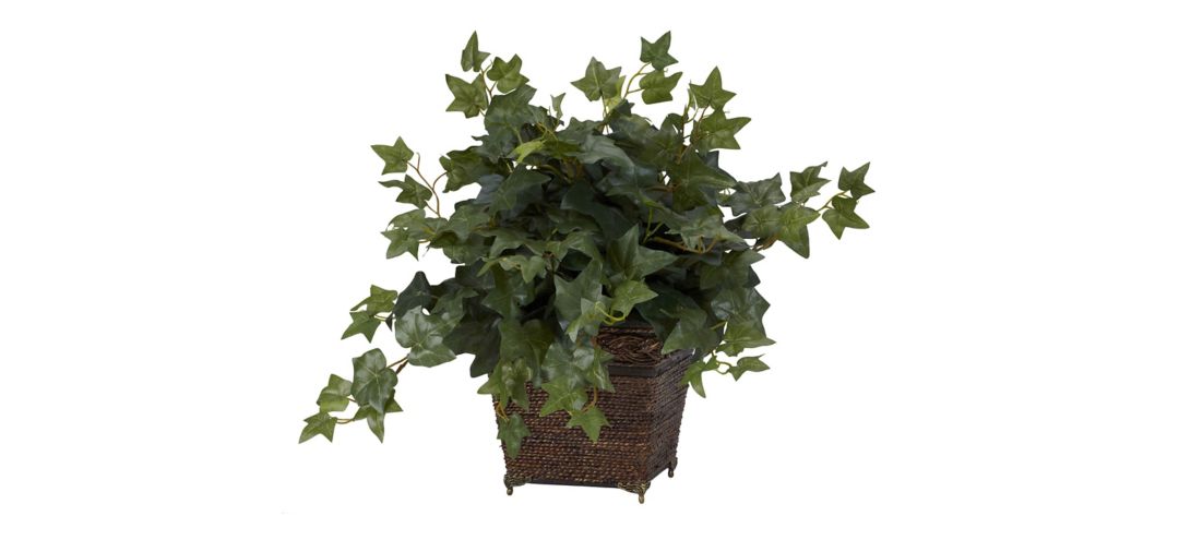 Puff Ivy with Coiled Rope Planter Silk Plant