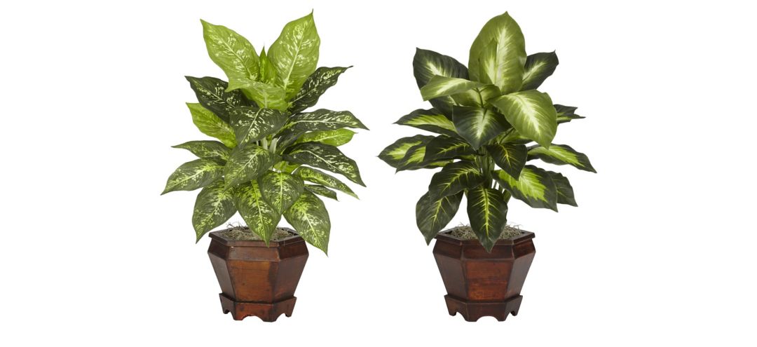 141167120 Dieffenbachia with Wood Vase Silk Plant (Set of 2) sku 141167120