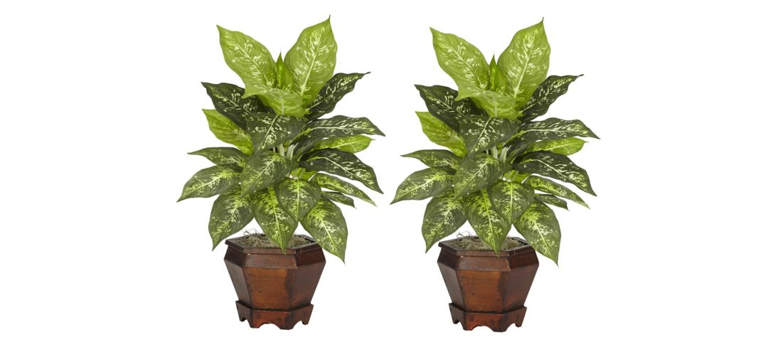 Dieffenbachia with Wood Vase Silk Plant (Set of 2)