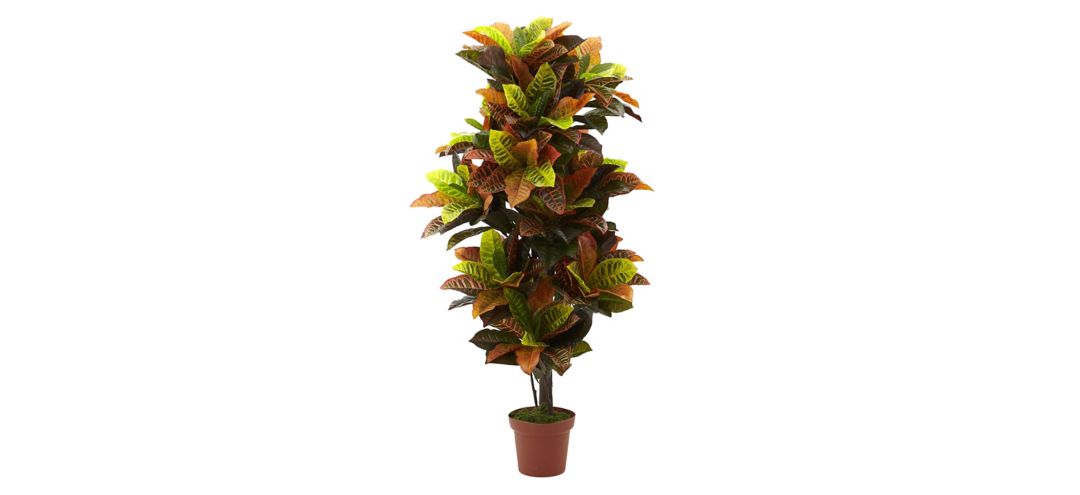 56in. Croton Artificial Plant (Real Touch)