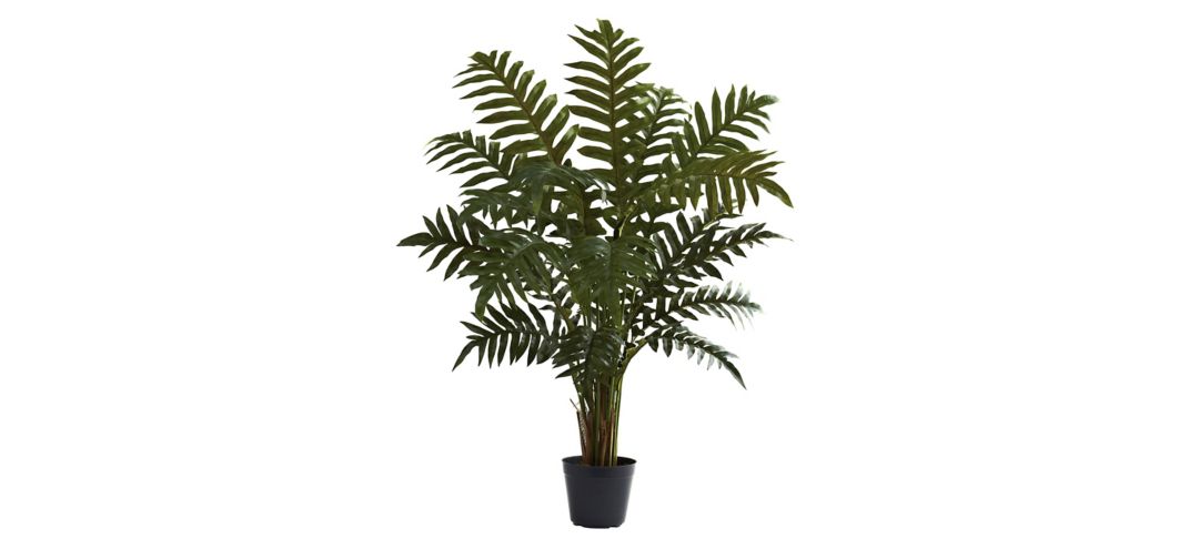 3.5ft. Evergreen Plant