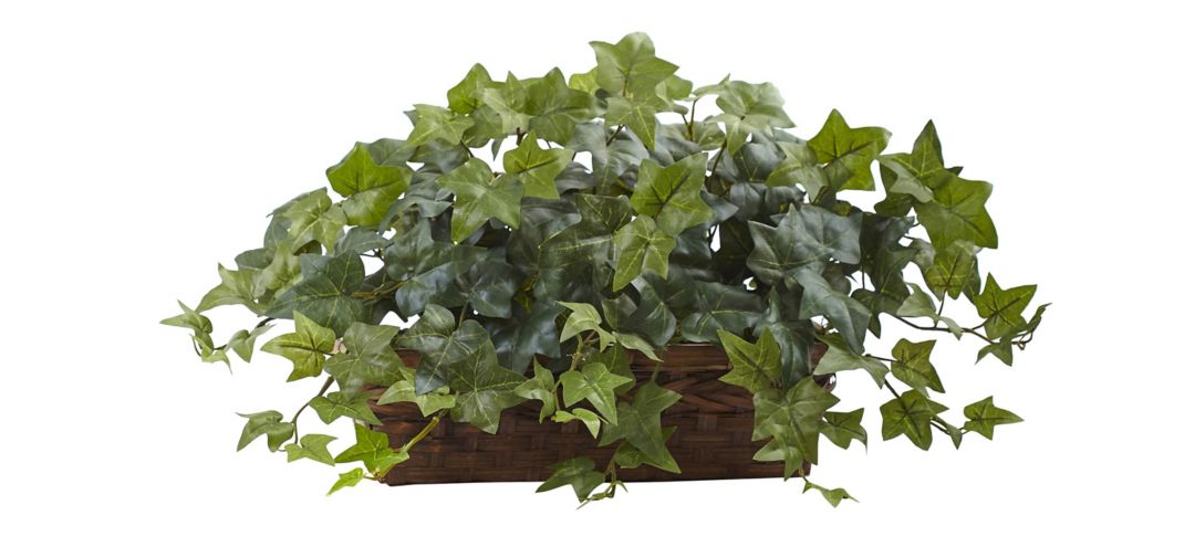 Puff Ivy with Ledge Basket