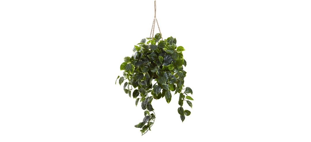 Pothos Hanging Basket (Indoor/Outdoor)