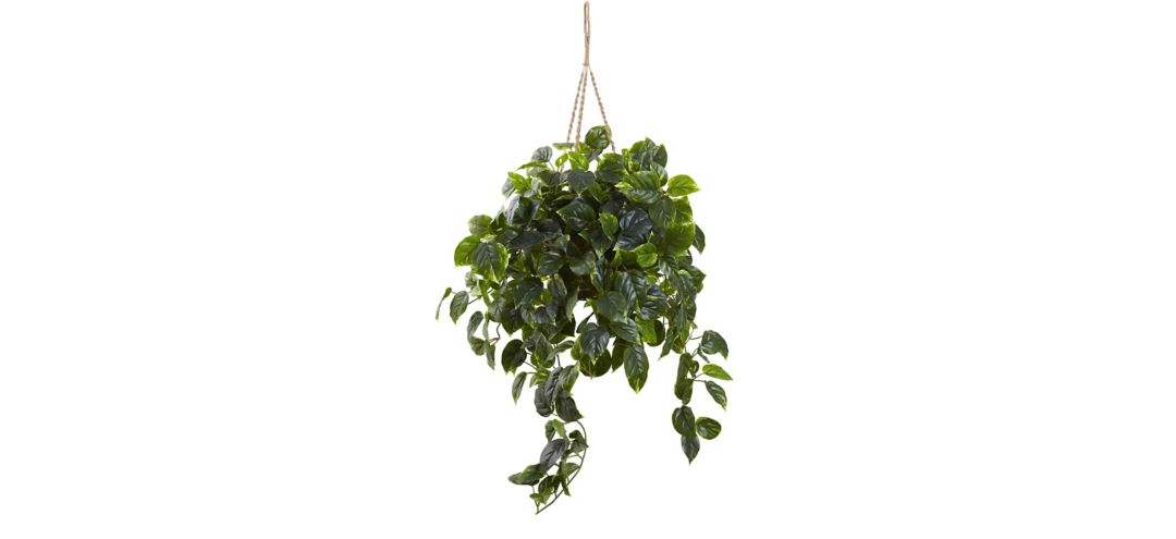 141168440 Pothos Hanging Basket (Indoor/Outdoor) sku 141168440