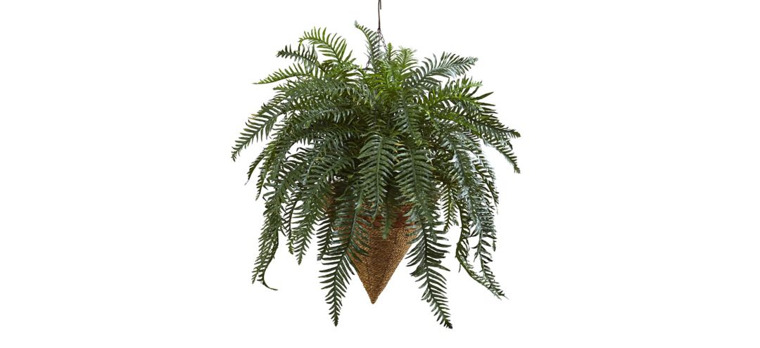 141168710 33in. Giant River Fern with Cone Hanging Basket sku 141168710