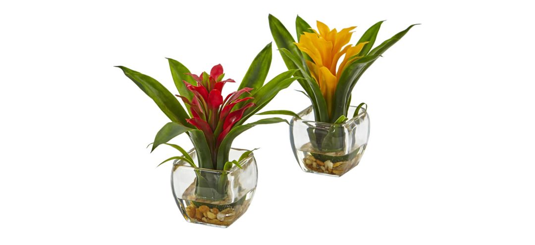 Bromeliad Pair with Glass Vase Arrangement (Set of 2)
