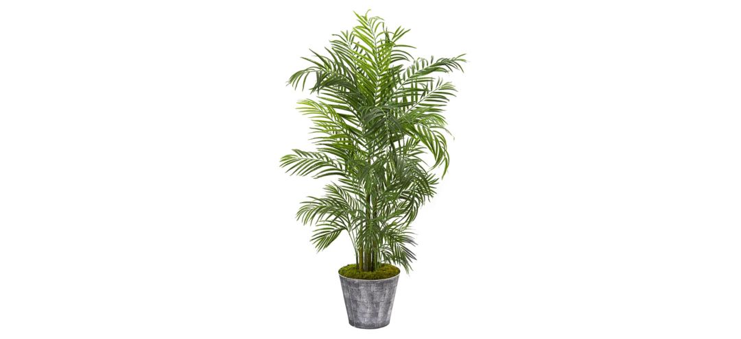 63in. Areca Palm Artificial Tree in Decorative Planter (Indoor/Outdoor)