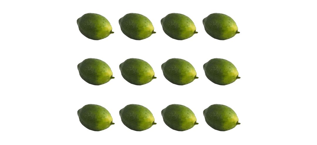 Faux Limes (Set of 12)