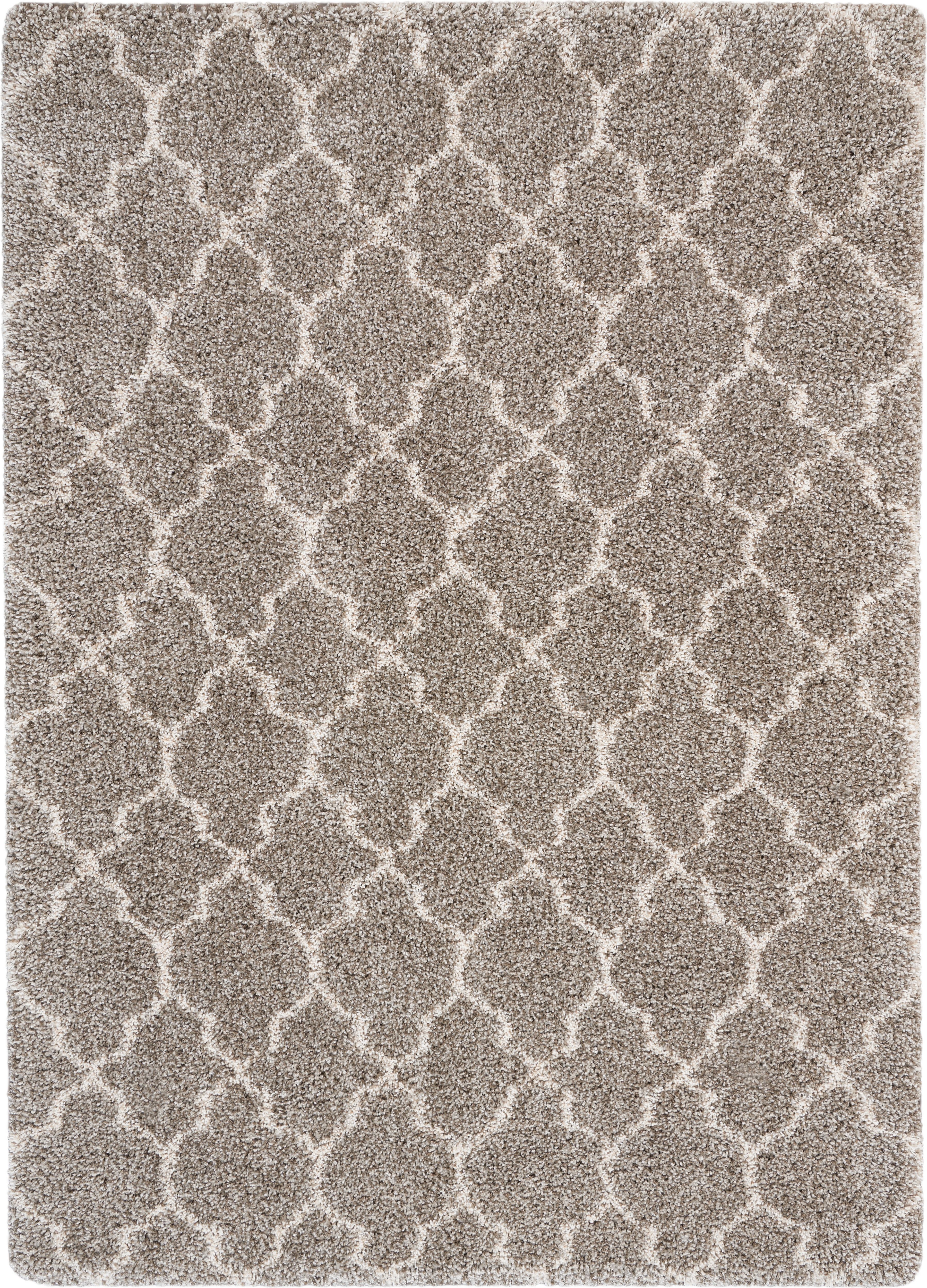 Emmerson Trellis Area Rug