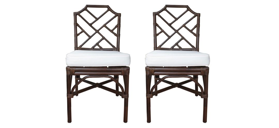 Kara Dining Chair: Set of 2