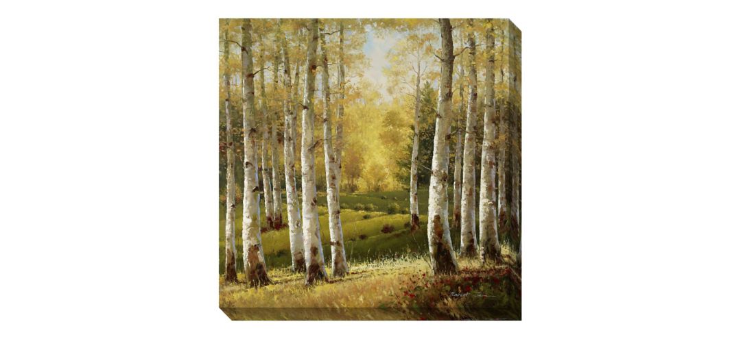 120045631 Birch Trees Canvas Wall Art sku 120045631